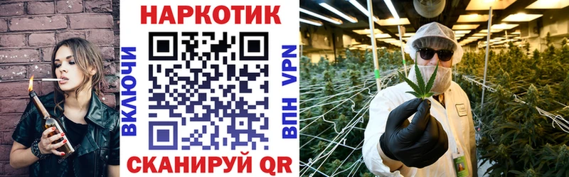 МЕФ Дмитриев