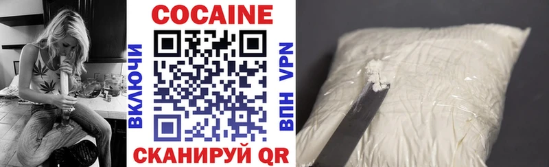 COCAIN FishScale  купить закладку  Дмитриев 