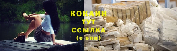 гидропоника Бородино