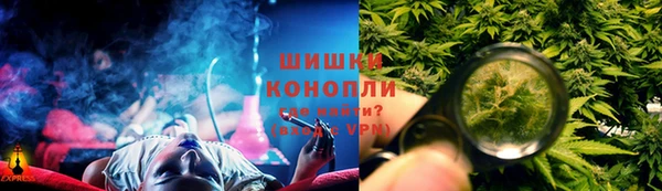 гидропоника Бородино