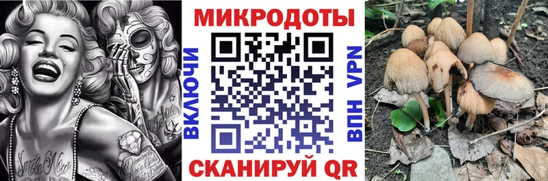 Галлюциногенные грибы ЛСД  наркошоп  Дмитриев 